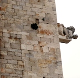 Clicca qui per vedere l'immagine in dettaglio